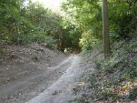 160923-Shere-0343