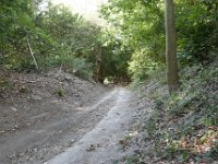 160923-Shere-0344